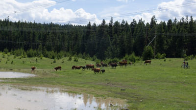 Singletrack Stampedin' - Day 1