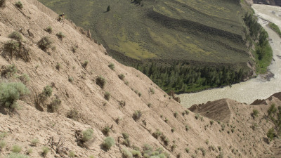 Singletrack Stampedin' - Day 2