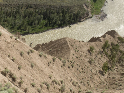 Singletrack Stampedin' - Day 2