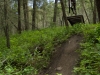 Singletrack Stampedin' - Day 1