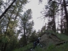Singletrack Stampedin' - Day 1