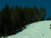 Apex Alpine Dec. 2011