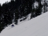 Apex OB