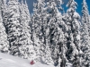 More Apex Spring Pow