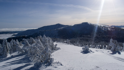 1st Tracks Apex 2012 - 2013