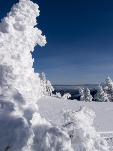 1st Tracks Apex 2012 - 2013