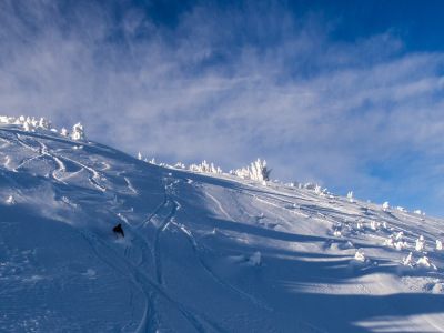 Quad Opening Apex 2012/13