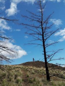 20140428_101655.jpg