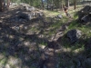 g0062123
