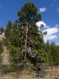 St Georges KVR 2012 - Day 2