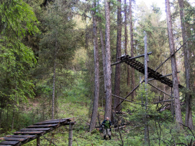 Freedom Thursday Night Shuttle