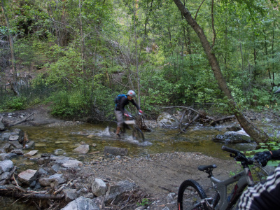 Freedom Thursday Night Shuttle