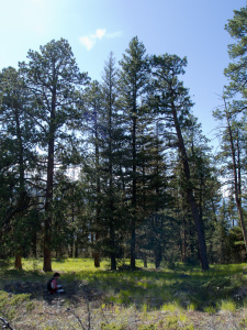 Bush Pilot Biking Naramata and Penticton