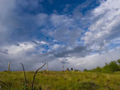 Bush Pilot Biking - Okanagan Riding