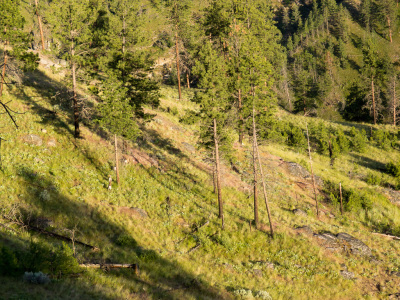 Bush Pilot Biking - Okanagan Riding