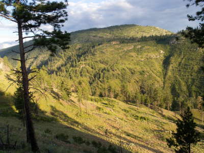 Bush Pilot Biking - Okanagan Riding
