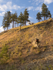 Bush Pilot Biking - Okanagan Riding