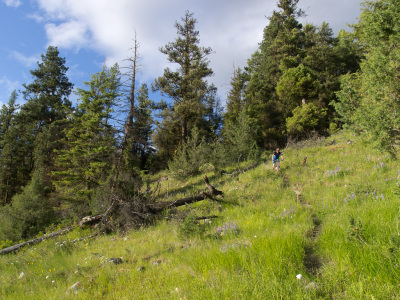 Bush Pilot Biking - Okanagan Riding