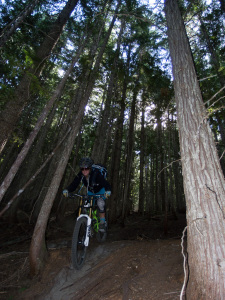 Retallack Lodge and Bush Pilot Biking