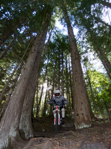 Retallack Lodge and Bush Pilot Biking