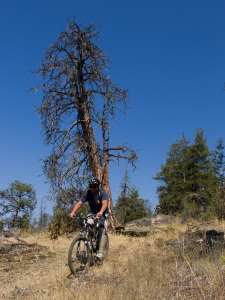 Bush Pilot Biking - Naramata