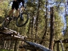 Bush Pilot Biking, Naramata and Penticton