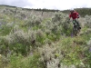 Bush Pilot Biking - Okanagan and Similkameen
