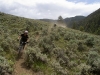 Bush Pilot Biking - Okanagan and Similkameen