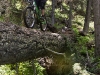 Bush Pilot Biking - Okanagan and Similkameen