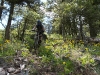 Bush Pilot Biking - Okanagan and Similkameen