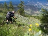 Bush Pilot Biking - Okanagan and Similkameen