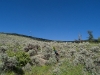 Bush Pilot Biking - Okanagan and Similkameen