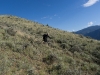Bush Pilot Biking - Okanagan and Similkameen