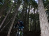 Retallack Lodge and Bush Pilot Biking