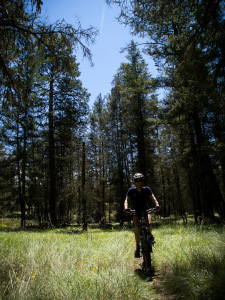 Naramata - Bush Pilot Biking - Lisa