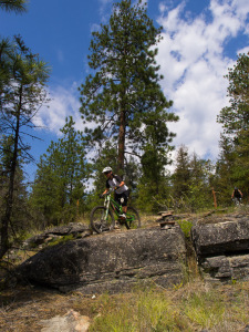 Naramata - Bush Pilot Biking - Feniak