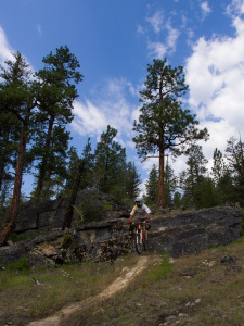 Naramata - Bush Pilot Biking - Feniak