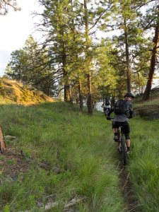 Freedom Shop Ride