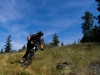 Ultimate BC Road Trip