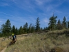 Ultimate BC Road Trip
