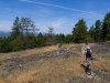 Ultimate BC Road Trip