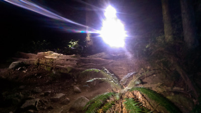 Night Riding Seymour