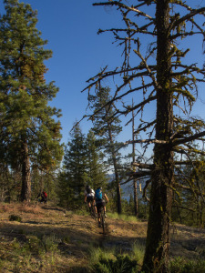 Freedom Shop Ride