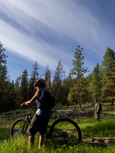 Freedom Shop Ride