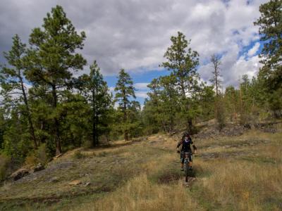 Jochen & Angela - Summer 2013