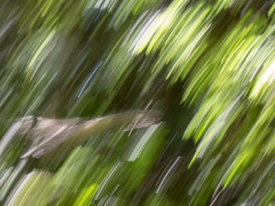 Sun + Fun + Germans - 4