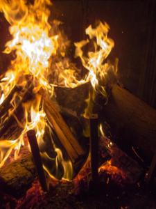 Trousers to the Left - 2