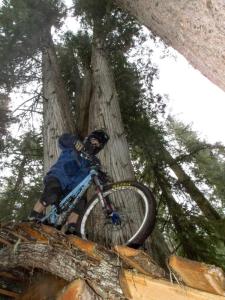 Trousers to the Left - 2