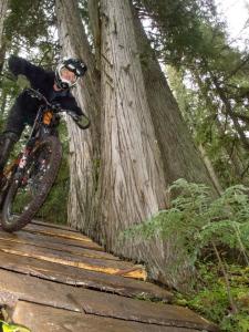 Trousers to the Left - 2