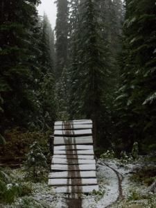 Trousers to the Left - 3